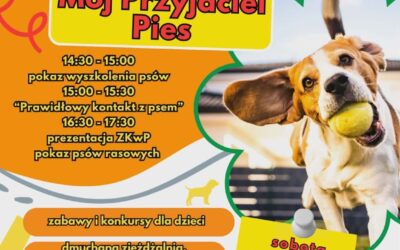 Piknik Rodzinny 4 lipca